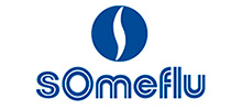 someflu logo